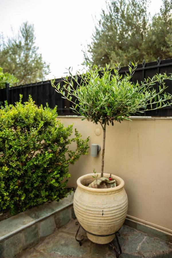 Amaryllis Holiday Home Agios Spyridon  Luaran gambar
